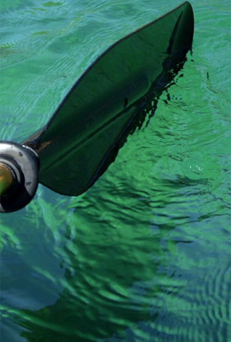 Drips from my kayak paddlefor Crystal & Emerald Tremolo